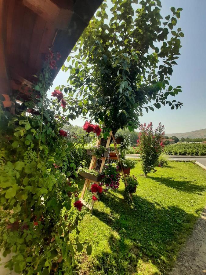 Rooms Mario Međugorje Exterior foto